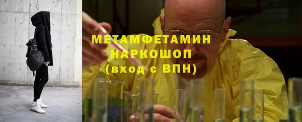 прущие грибы Беломорск