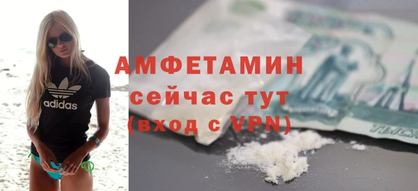 прущие грибы Беломорск