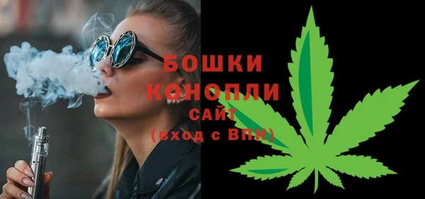 молекула духа Белокуриха