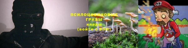 молекула духа Белокуриха