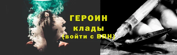 прущие грибы Беломорск