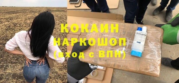 прущие грибы Беломорск