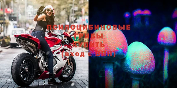 дживик Белоозёрский