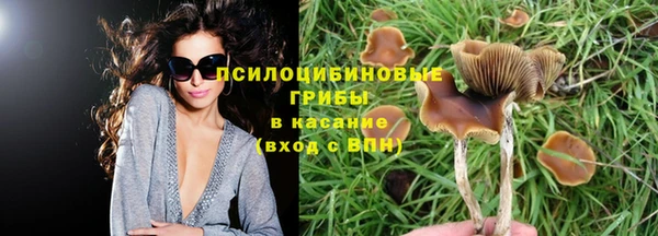 молекула духа Белокуриха