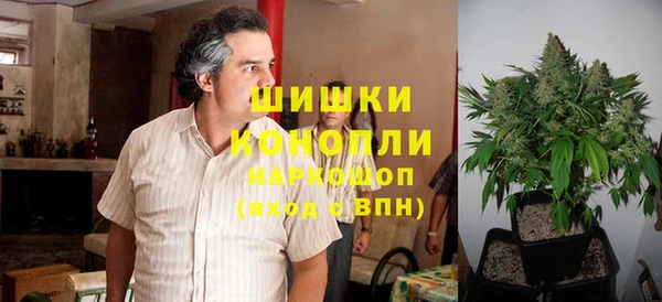 прущие грибы Беломорск