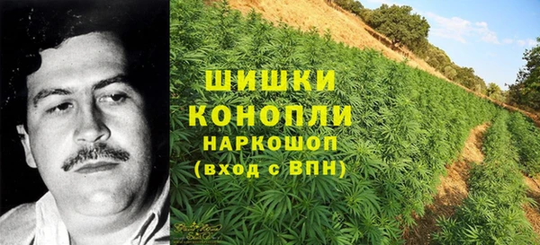 молекула духа Белокуриха