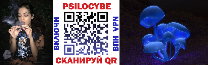 Псилоцибиновые грибы Cubensis  купить наркотик  ОМГ ОМГ вход  Маркс 
